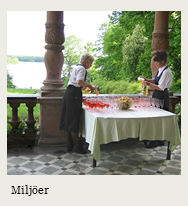 Miljöer